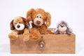 Soft toys in a draw Royalty Free Stock Photo