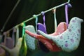 Soft toys in the form of colored birds hang