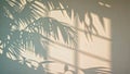 Tropical palm shadows on smooth neutral wall, aesthetic light background Royalty Free Stock Photo
