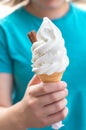 Soft vanilla ice cream with chocolate stick