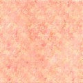 Soft vintage antique distressed shabby floral pattern background in peach