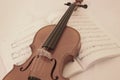 Soft Violin Royalty Free Stock Photo