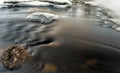 Soft water stream in winter