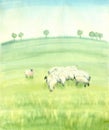 Watercolor landscape with flock on the green field.