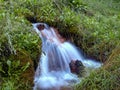 Soft waters running on rocks. Close-up of running water as a picture background Royalty Free Stock Photo