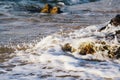 Soft wave hitting sandy beach under bright sunny day Royalty Free Stock Photo