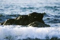 Soft wave hitting sandy beach under bright sunny day Royalty Free Stock Photo