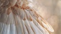 Soft white bird feathers create a heavenly, pure and innocent background, exuding freedom, hope, and peace. Delicate and