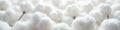 Soft, white cotton ball texture; close up view , backdrop, thread Royalty Free Stock Photo