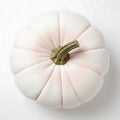 Soft white fabric pumpkin with green stem top view Royalty Free Stock Photo