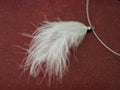 soft white feather jewelry - red background Royalty Free Stock Photo
