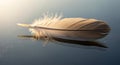 Soft White Feather Lying on Smooth Surface with Gentle Light Royalty Free Stock Photo