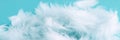 Soft White Feathers On Delicate Muted Teal Background ,Texture. Minimalism, Lightness Concept Royalty Free Stock Photo