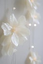 Soft white flower lights decorating wall with gentle glow Royalty Free Stock Photo