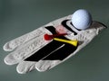 White leather golf glove close-up with tee and marker peg. Royalty Free Stock Photo