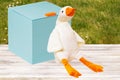 A soft white soft toy duck sits cosily on a table and is leaning against a blue gift box in front of a blurred lawn background. Royalty Free Stock Photo