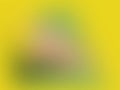 Soft Yellow and Green Gradient Background with Subtle Texture Royalty Free Stock Photo