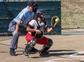 Softball Catcher Royalty Free Stock Photo