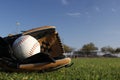 Softball with gloves Royalty Free Stock Photo