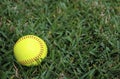 Softball in the Outfield Royalty Free Stock Photo