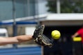 Softball Player Reaches Out To Catch Ball Royalty Free Stock Photo