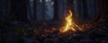 Softly glowing embers in the darkness of a forest at night, ambiance, natural light Royalty Free Stock Photo