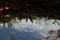 Softly rippling pond with reflections of grass and fall colors Royalty Free Stock Photo