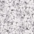 Softness floral seamless pattern. Many different Hand drawn black and white pencil drawing abstract flowers.