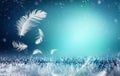 Softness And Freshness Concepts - Feathers Royalty Free Stock Photo