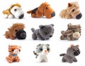 Softness Toys Royalty Free Stock Photo