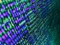 Software background technology. Programming of Internet website. Programmer occupation. Data bits computer bits, shadow and dark Royalty Free Stock Photo