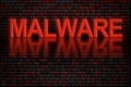 Software code or data infected by malware