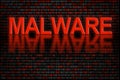 Software code or data infected by malware