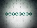 Software concept: Database on Digital Data Paper background Royalty Free Stock Photo