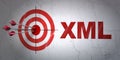 Software concept: target and Xml on wall background