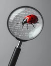 Software Debugging - Finding the Bug in the Code Royalty Free Stock Photo