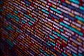 Software developer programming code on computer. Abstract computer script source code Royalty Free Stock Photo
