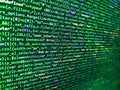 Software developer programming code on computer monitor. Web developer HTML code with CSS on screen. Close up of random computer Royalty Free Stock Photo