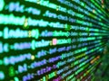 Software developer web program script. Developer working on websites codes in office. Concept screen of experienced web developer Royalty Free Stock Photo