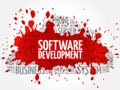 Software development word cloud Royalty Free Stock Photo