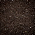 Soil Royalty Free Stock Photo