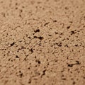 The soil appears granular and light brown indicative of arid condition Royalty Free Stock Photo