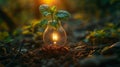 On a soil background, there is a growing green plant with a silhouette of a light bulb Royalty Free Stock Photo