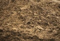 Soil close up Royalty Free Stock Photo