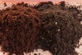 Soil and coconut substrate for seedlings and seedlings