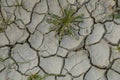 Soil cracked by drought, arid and dry