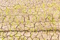 Soil cracks in rice field. Due to lack of water and drought conditions Royalty Free Stock Photo