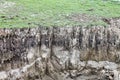 Soil cut from fertile green land with rough geological rock layers