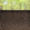 Soil or dirt underground section in garden or forest Royalty Free Stock Photo