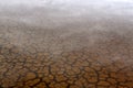 The soil dried had under the flooded